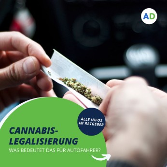 Ein Mann dreht einen Joint in einem Auto. Cannabis-Legalisierung - Was bedeutet das für Autofahrer?