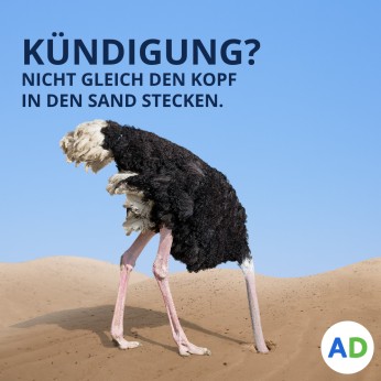 Was man bei Kündigung tun kann.