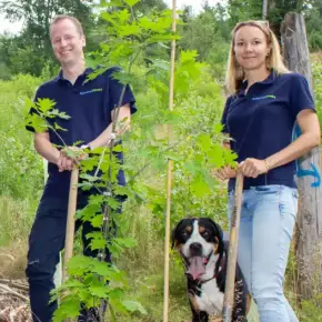 AdmiralDirekt pflanzt 10.000 Bäume im Bergischen Land