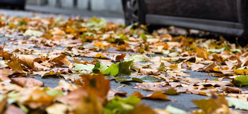 Durch Laub auf der Straße kann das Auto ins Rutschen geraten.