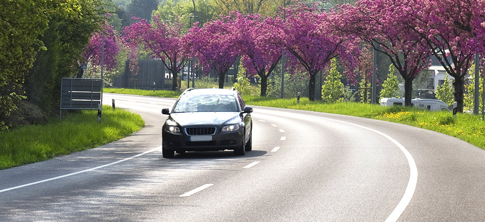Ein Kombi fährt auf einer Straße mit blühenden Kirschbäumen.