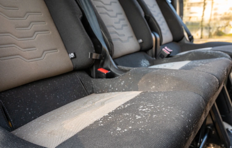 Feuchte Autositze mit Schimmelbildung im Innenraum.